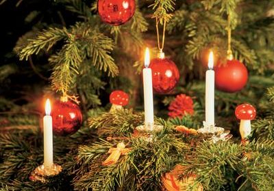 lighted christmas tree
